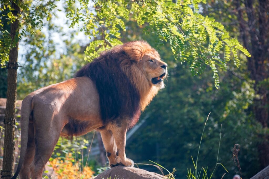 Olymp Luxury Villas,Beachfront Villas,Luxury Villas Paphos